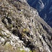 Il dirupato versante di Ludo Alboc visto dal sentiero che sale da Ludo Termine verso Pra d'Gatt