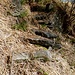 Treppenanlagen am Weg von Coroi nach Montascio