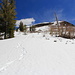 Sliding down Pickett Peak's North slope was a lot of fun