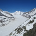 das Panorama: Aletschgletscher mit Jungfrau, Mönch und Eiger