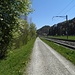 Schöner Wanderweg zwischen dem Bachbett der Töss und der Bahntrasse, garantiert nur T1