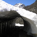 Alpe Fronn...tunnel naturale 