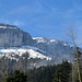 Weiter oben erwartet uns Schnee. Die Alp Bärstein liegt oberhalb der Waldgrenze, Ab dort wurde es vorübergehend winterlich..