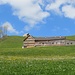 Ein typisches Appenzeller Haus inmitten blühender Wiesen