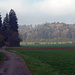 Kühl am Morgen. Da wo die Schranke sagt, dass man nicht durch dürfe, da geht es hoch. Die Forstarbeiter sind zu faul, die Schranke an Wochenenden abzubauen. Das war da schon immer so.