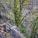 Val Fighéra: prima dell'inizio del traverso esposto (che ho evitato)