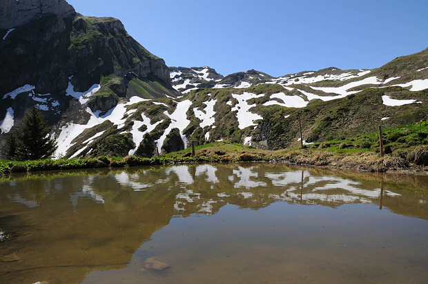 Bei Rotenbalm