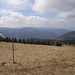 Blick Richtung Todtnau