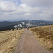 Abstieg zur St. Wilhelmer Hütte