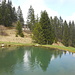 Seelein bei der Baldenweger Hütte