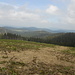Blick über den Schwarzwald