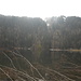 Feldsee mit Feldberg