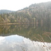 Feldsee