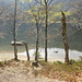 Am Feldsee
