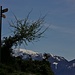 Gipfelwegweiser auf La Colma