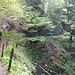 Le chemin des Gorges du Chauderon