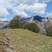 Ritorno all'alpe Leciuri