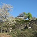 Alpe Prà