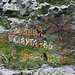 Ralsko, Burgruine, russische Inschriften