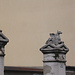 Sulle colonne di un cancello di Lonate Ceppino si trovano questi due inconsueti grifoni, un simbolo poco diffuso nell'araldica italiana.