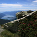 On the ESE ridge of Madone, looking towards Lago Maggiore with the Maggia Delta