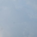 Parte della pattuglia aerea svizzera nel cielo sopra Magadino