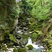 Wild und ursprünglich. 