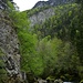 Felswände über der Areuse. 