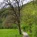Uferpromenade zum ... 