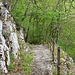 Sentier Bleu. 