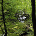 Gorges de l'Areuse.