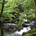Gorges de l'Areuse.