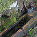 Wie immer im Jura. Mit Wasser ist nix los. Immerhin hat's zwei Gläser parat.<br /><br />Erstes Gebot für Jura-Wanderungen übrigens: Immer viel Wasser mitnehmen, es gibt keine brauchbaren Brunnen. Auf dieser Tour hatte ich 4 Liter dabei, plus einen dreier Roten. War mit dem Morgenkaffee am zweiten Tag aufgebraucht, das Wasser. Zähneputzen auf später verschoben.