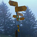 Vor ein paar Jahren ging ich hier nach rechts zum Chasseron und nach Ste-Croix. Heute stieg ich angesichts der Wetterlage nach St-Aubin ab.