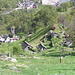 Corippo