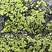 Les secrets de la roche dans notre passage vers le lac Tuma
