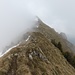 The cute little summit ridge of the Lütispitz.