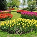 24. April Tulpenausstellung im Parc de l'Indépendance in Morges direkt am Genfersee