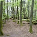 Immersberg