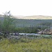 Brücke zur Abiskojaure Stuga