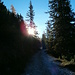 Der Weg verläuft lange im Schatten, kurz vor der Pleisenhütte zeigen sich die ersten herbstlichen Sonnenstrahlen.