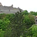 Burg Visegrád