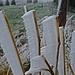 Gjäch