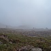 Auch ein weiterer Blick nach oben offenbart noch nicht viel Neues..