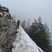 Wir kommen in den Schnee...