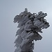 Kunst der Natur