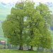 Zweisamkeit