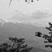 Doloblick