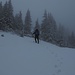 Wir stapfen im Altschnee mit Neuschneeauflage hoch zum Laubeneck<br /><br />Nella neve vecchia coperta di neve fresca cammianiamo in alto faticisamente