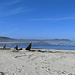 das zweite Wrack, die Nolloth, liegt im Sand